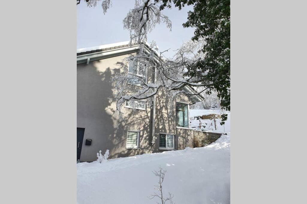 Ferienwohnung Am Musbach In Badenweiler-Sehringen Luaran gambar