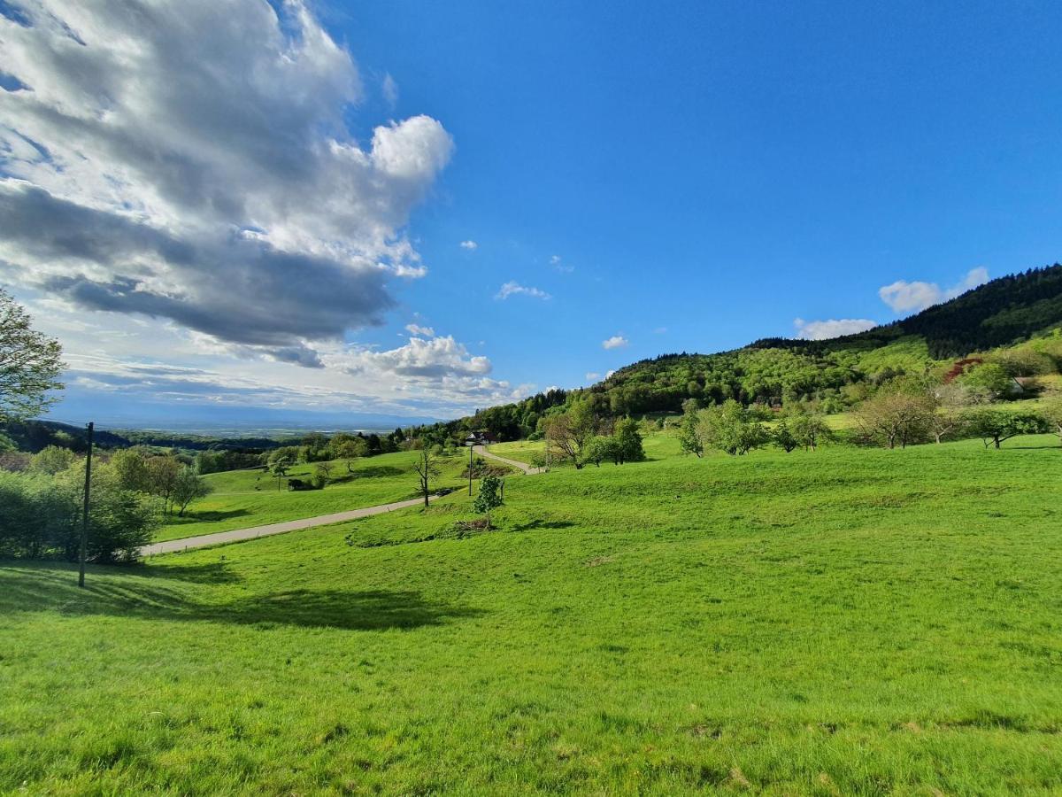 Ferienwohnung Am Musbach In Badenweiler-Sehringen Luaran gambar